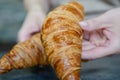 A hand holding a croissant close-up. The croissant is suitable for tea or coffee. Fresh baked. Royalty Free Stock Photo