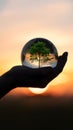 Hand Holding Crystal Ball With Green Tree Against Sunset Sky Royalty Free Stock Photo