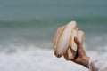 Hand holding cuttlefish bone wedged in the sand on the beach Royalty Free Stock Photo