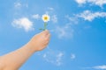 Hand holding a daisy in front of the blue sky Royalty Free Stock Photo