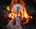 Hand holding a dandelion in front of a fire