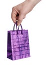 Hand holding decorative lilac bag
