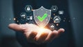 Hand holding digital security shield Royalty Free Stock Photo