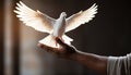 Hand holding dove, symbol of peace and spirituality, flying freely generated by AI Royalty Free Stock Photo