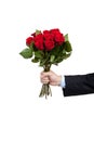 A hand holding a dozen red roses on white