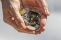 A Hand Holding and Dropping Coins Royalty Free Stock Photo