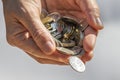 A Hand Holding and Dropping Coins Royalty Free Stock Photo