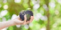 Hand holding earth shape of apple fruit over green nature background Royalty Free Stock Photo