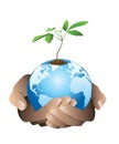 Hand holding the Earth with a small tree. Royalty Free Stock Photo