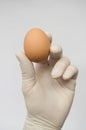 Hand holding egg