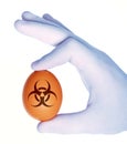 Hand holding egg with biohazard symbol Royalty Free Stock Photo