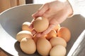 Hand Holding Egg Royalty Free Stock Photo