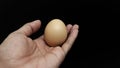 Hand holding an egg Royalty Free Stock Photo