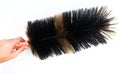 Feather duster isolated on white Royalty Free Stock Photo