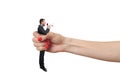 Hand holding in fist small man Royalty Free Stock Photo