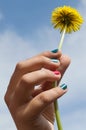 Hand holding a flower