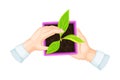 Hand Holding Flower Pot and Setting Young Plant or Sprout in Soil Vector Illustration Royalty Free Stock Photo