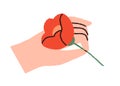 Hand holding flower, presenting spring floral plant. Single blossomed bloom in fingers, beautiful gentle delicate