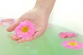 HAND HOLDING A FLOWER IN SPA