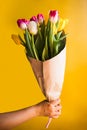 Hand holding flowers over yellow background. Bouquet of tulips for Birthday, Happy mothers or Valentines day. Royalty Free Stock Photo