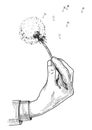 Hand holding fluffy dandelion