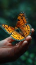 Hand holding a fragile butterfly depicting delicacy