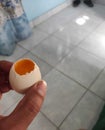 hand holding a free-range chicken egg