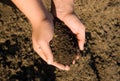 Handful of arable soil