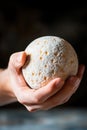 Hand holding fresh artisan cheese with textured rind Royalty Free Stock Photo