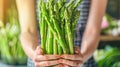 Hand holding fresh asparagus with selection on blurred background, copy space available Royalty Free Stock Photo