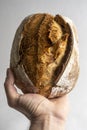 Hand holding fresh baked loaf of homemade sourdough bread Royalty Free Stock Photo