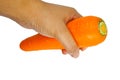 Hand holding fresh carrot on white background.
