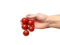 Hand holding fresh cherry tomatoes  on white background Royalty Free Stock Photo