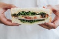 Hand holding fresh delicious homemade sandwich with ham, cheese, bacon, tomatoes, lettuce, cucumbers and onions Royalty Free Stock Photo