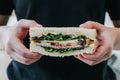 Hand holding fresh delicious homemade sandwich with ham, cheese, bacon, tomatoes, lettuce, cucumbers and onions Royalty Free Stock Photo