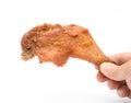 Hand holding a fresh grilled chicken leg on white Royalty Free Stock Photo