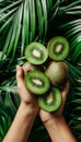 Hand holding fresh kiwi, selection of kiwis on blurred background with copy space