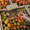 Hand Holding Fresh Ripe Tomato Heirloom Farmers Market Garden Produce Royalty Free Stock Photo
