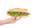 Hand holding fresh sandwich. Royalty Free Stock Photo