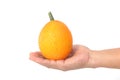 Hand holding Gac fruit, Baby Jackfruit
