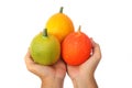 Hand holding Gac fruit, Baby Jackfruit Royalty Free Stock Photo