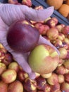 Hand holding Georgia Peaches on display