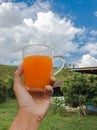 Hand holding glass of carrot juice homemade beverage with mountain and sky background,   food and drink healthy Royalty Free Stock Photo