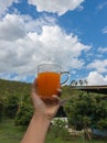 Hand holding glass of carrot juice homemade beverage with mountain and sky background,   food and drink healthy Royalty Free Stock Photo