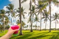 Hand holding a glass with cocktail and straw and Beautiful Palm trees in blue sky background in Miami Beach Royalty Free Stock Photo