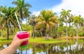 Hand holding a glass with cocktail and straw and Beautiful Palm trees with lake on blue sky background Royalty Free Stock Photo