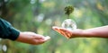 Hand holding glass globe ball with tree growing and green nature blur background. eco environmental concept. World environment day Royalty Free Stock Photo