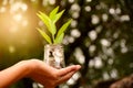 Hand holding glass jar and have plant on coins for save money an Royalty Free Stock Photo