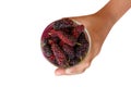Hand holding glass of many pile organic Mulberry friut isolated