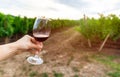 Hand holding glass of red wine against vineyard in rural landscape Royalty Free Stock Photo